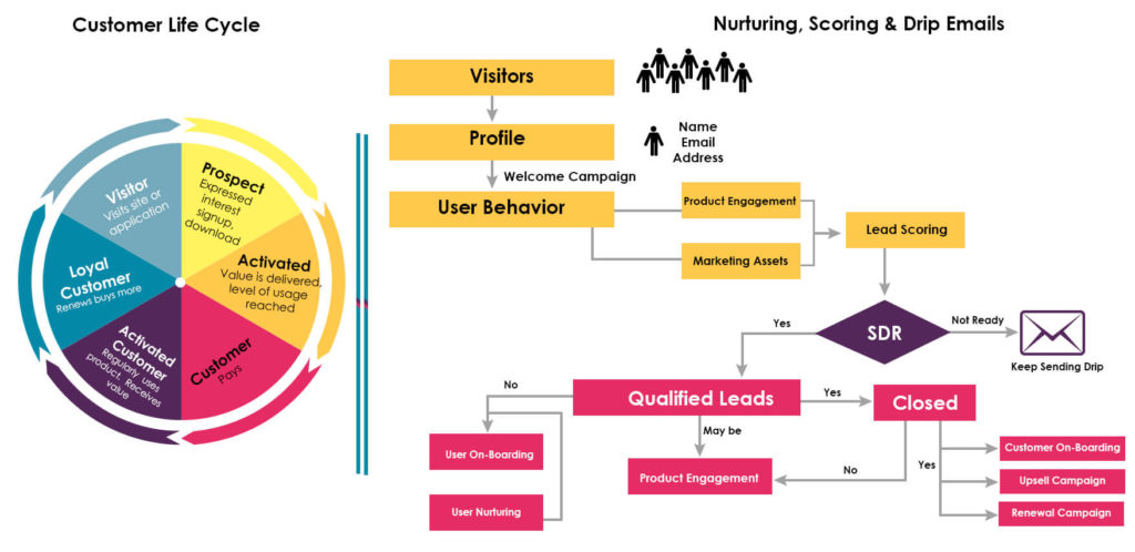 Lead Scoring Strategy and Design, lead scoring automation