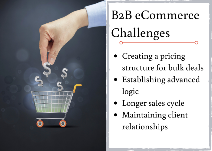 B2b eCommerce challenges
